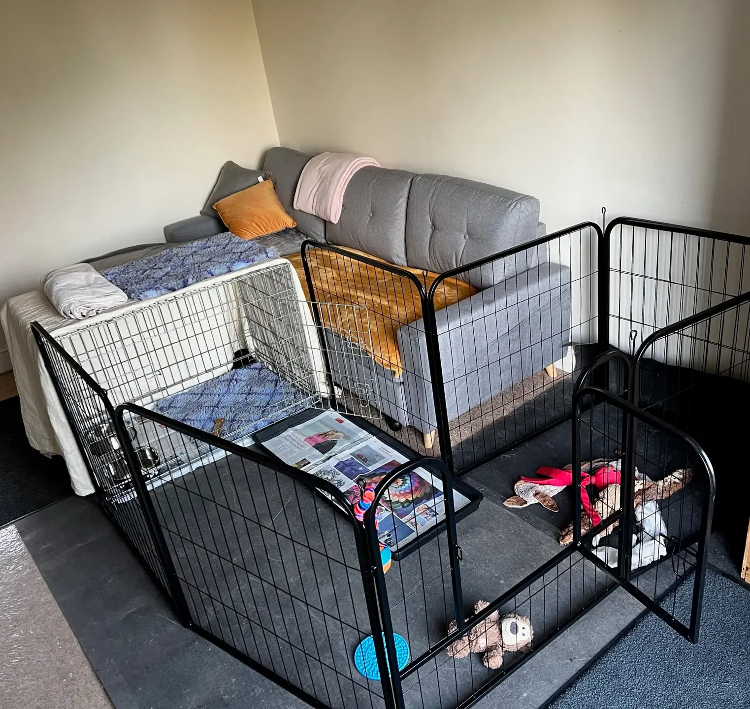 Puppy-Pen-Set-Up